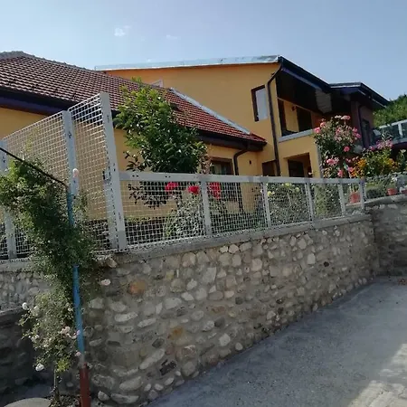 Casa Darius Apartment Orsova Exterior photo